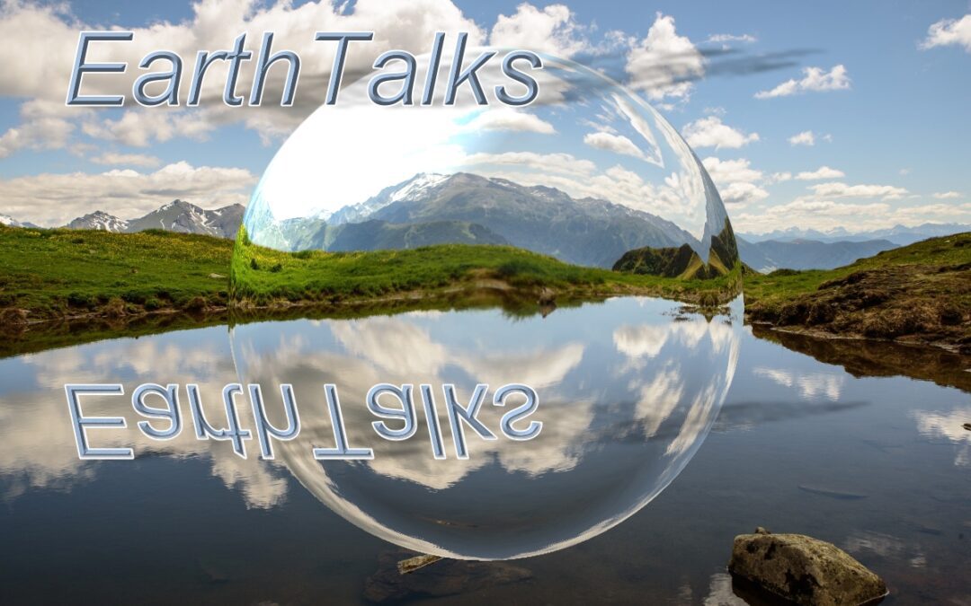 April 22 EarthTalks: Sustainable and climate-resilient urban solutions